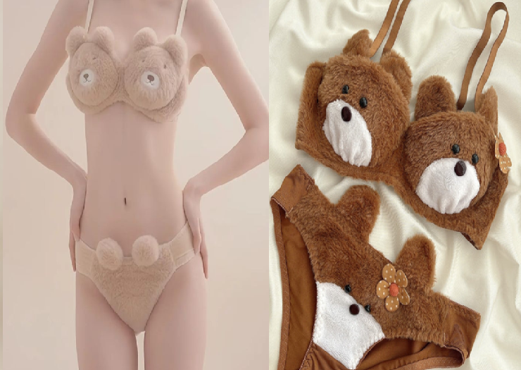 teddy bear bra and panty